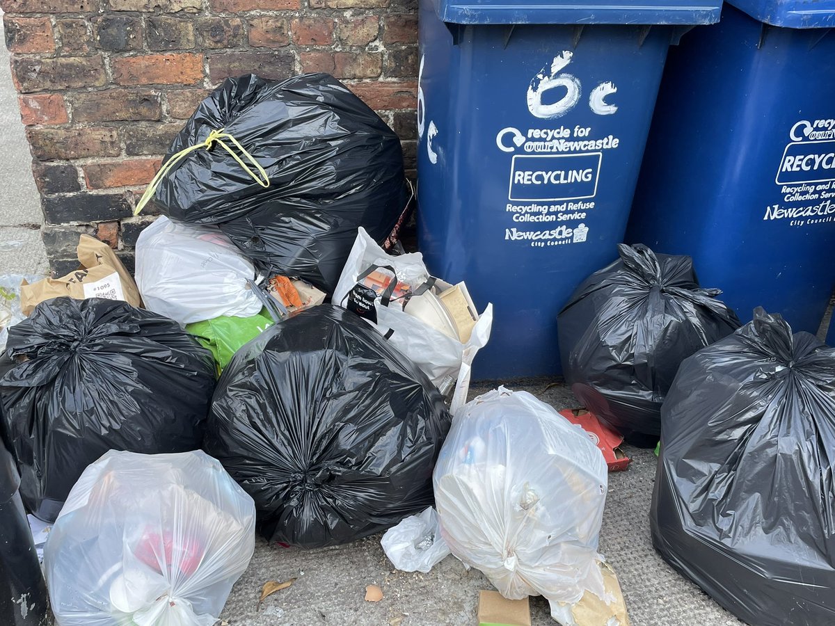 EndASBinJesmond's tweet photo. Clayton Rd opposite Jesmond News attracting the wrong kind of wildlife #StudentSlums #RewildingJesmond #EndASBinJesmond @NCC_Leader @JesmondStella @UniofNewcastle, @NorthumbriaUni, @NewcastleCC, @ChronicleLive https://t.co/Aj73hRqdut