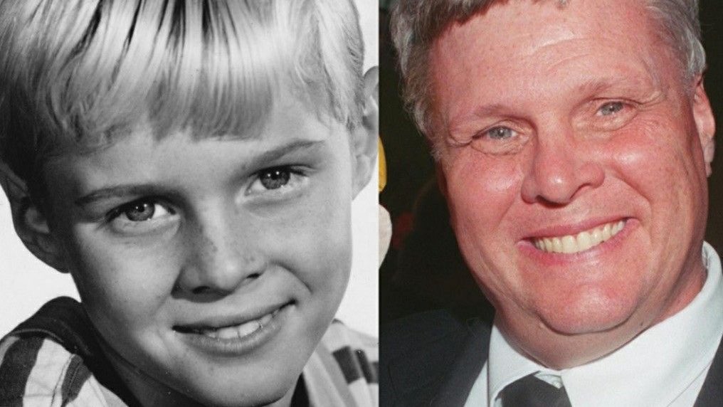Hey, Mr. Wilson!  Happy Birthday to actor Jay North ( Dennis the Menace ) who is 70 today! 