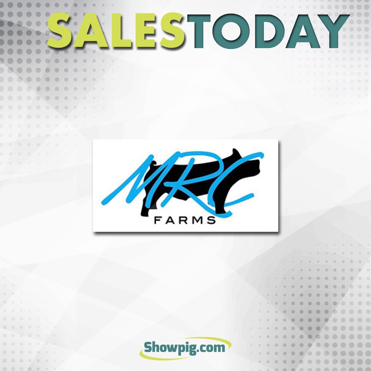 Showpig.com tweet media