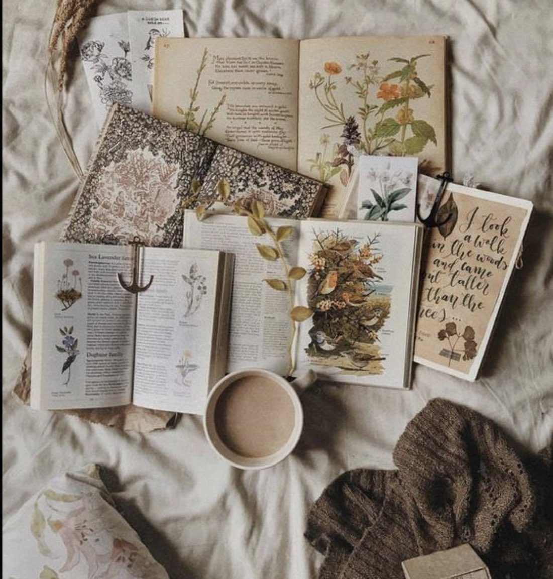 georgesource_'s tweet image. {📚}  lidos