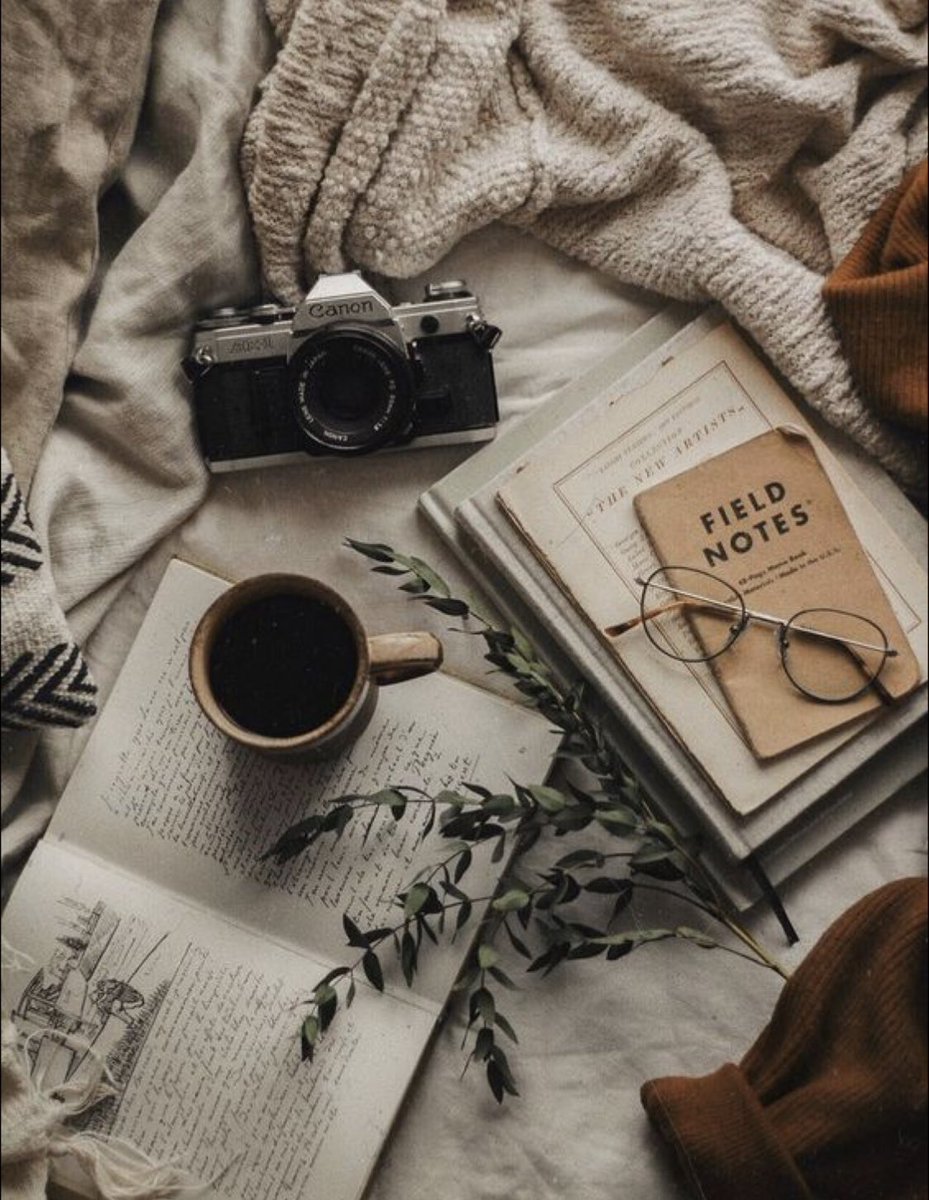 georgesource_'s tweet image. {📚}  lidos