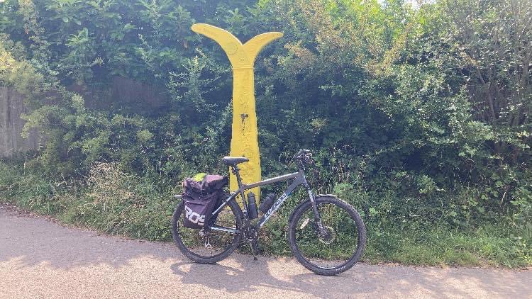 FriendsofSVG66 tweet media