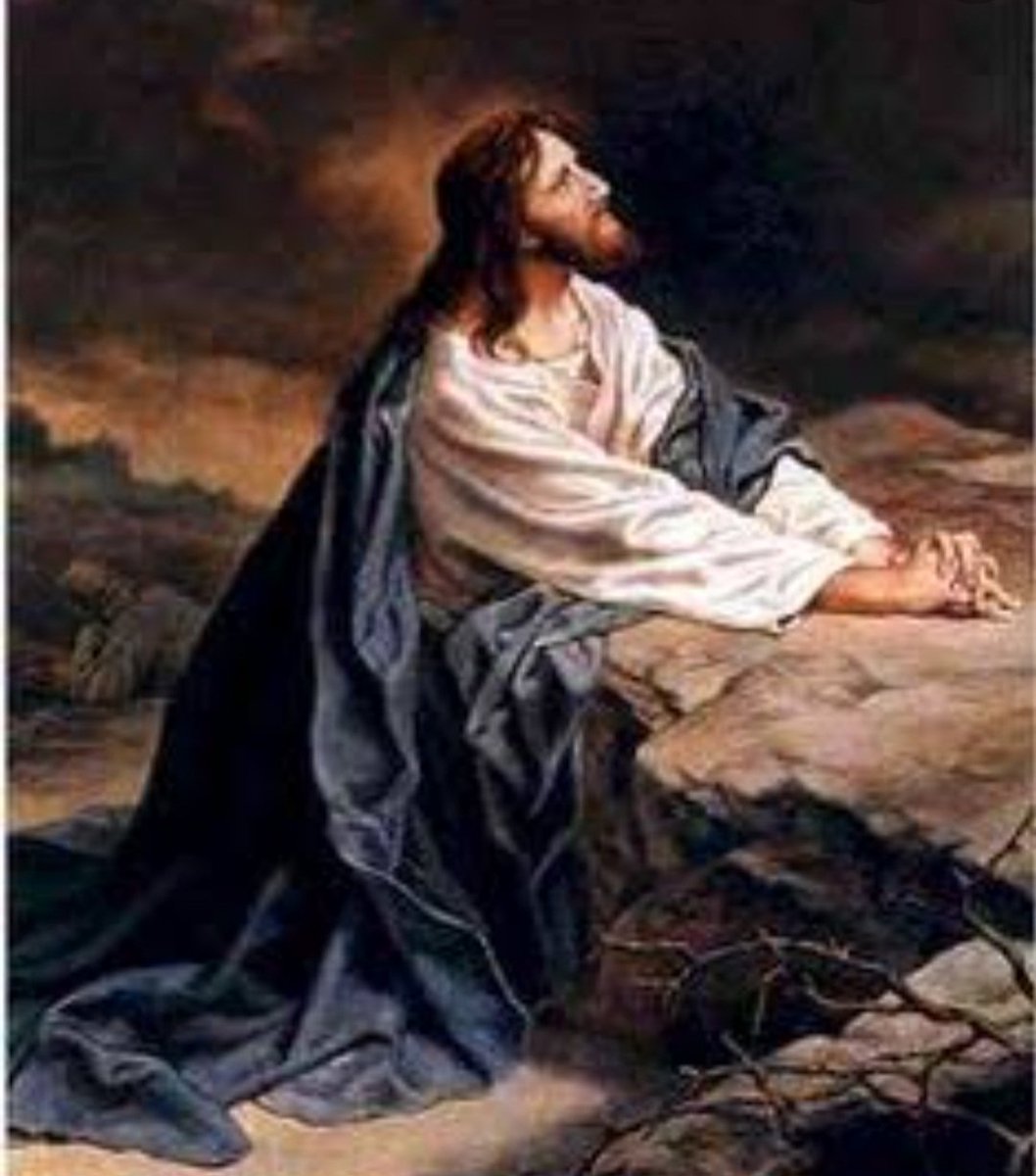 mhonividente's tweet photo. Padre Nuestro ayúdame a entender lo que me pasa y llenarme de tus Bendiciones. “Dios nunca se aleja de tu vida, estamos viviendo lo que tenemos que vivir, depende de cada uno, el como respondamos a esta prueba!”
Fuerza y Fe https://t.co/MuR1ZLBRLM