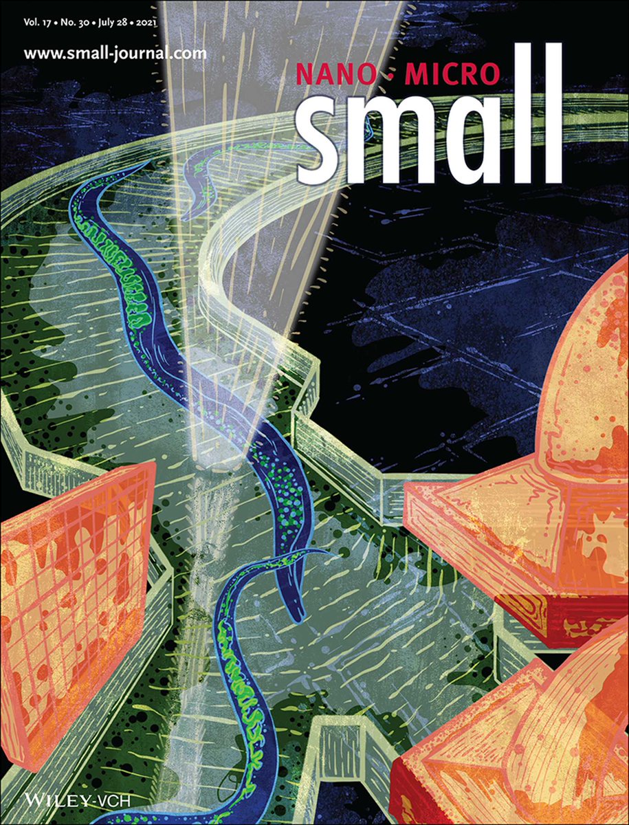 CollinEwald's tweet photo. Check out the new cover of Small about @NadiaVertti's paper. High-throughput microfluidics to assess heterogeneous dynamics of heat-shock responses. @deMelloGroup @RuediGunawan #EwaldLab https://t.co/zkqPF6Mo83 https://t.co/6kMkgZMes8