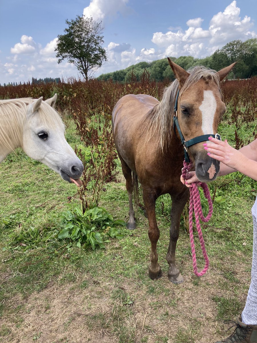 😍 here is Marilyn who has had better mornings but is fine now, with an excellent photobomb from Dudley