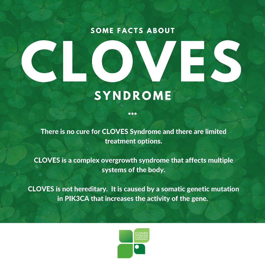 CLOVESSyndrome's tweet photo. Did you know that CLOVES is a #RareDisease affecting multiple body systems with limited treatment options and no cure? Our families &amp; loved ones need access to support, education, information and research into this disease.  They deserve hope for the future 
#CLOVESAwarenessDay https://t.co/xl4e6fQa5S