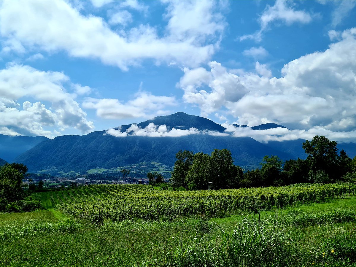 elisadallarche's tweet photo. Altin, Costasolana, Lamen, Carpene, Pedavena, Foen
#ParcoNazionaleDolomitiBellunesi
#Dolomiti #Feltre nel secondo agosto del #coronacene
[se il #Tomatico ha il cappello, il tempo è bello. se il Tomatico ha la cintura, pioggia sicura] https://t.co/4RJGgUUqu9