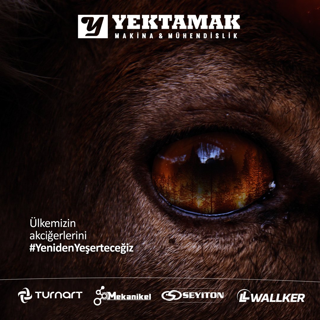 TEMA Vakfı'nın başlattığı #YenidenYeşerteceğiz kampanyasına 100 fidan bağışı ile desteklerimizi sunuyoruz! Birlikte daha temiz bir geleceğe 🌳