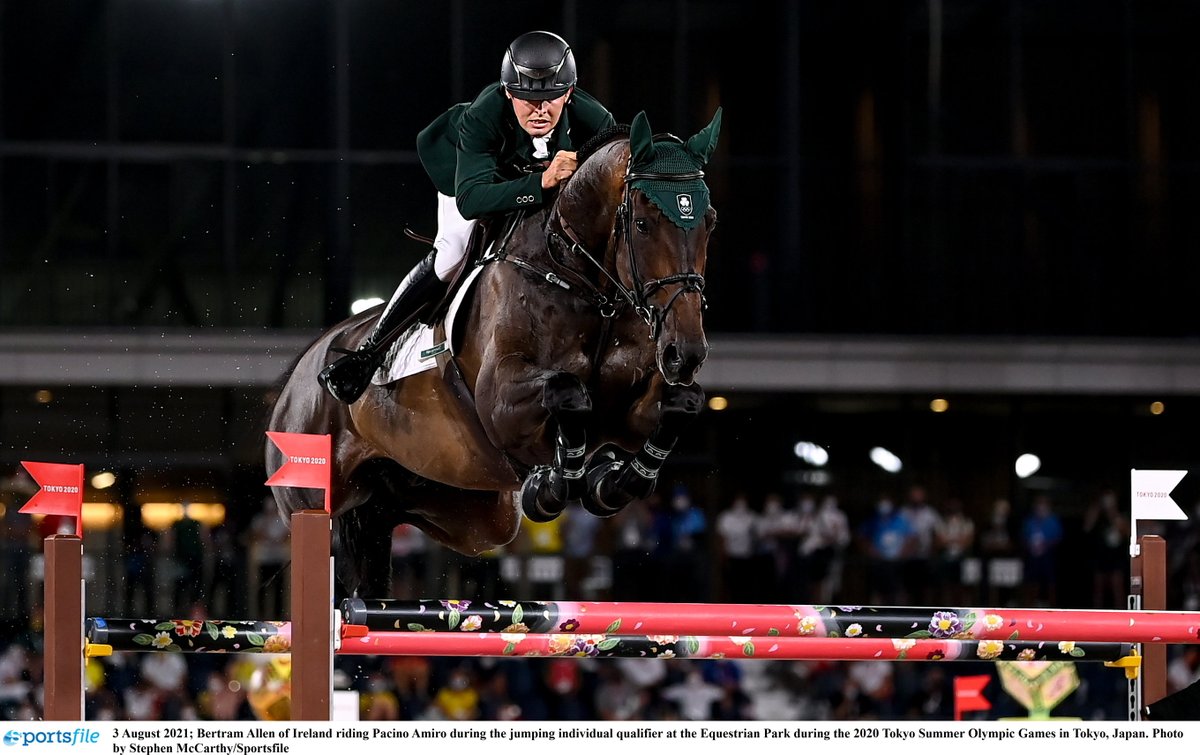 HorseSportIRL's tweet photo. **BREAKING NEWS**  All three Irish riders qualify for Olympic Show Jumping Final in brilliant display
A stunning performance from Ireland's Show Jumping horses and riders has seen all three qualify for tomorrow's individual final at the Olympic Games in Tokyo. https://t.co/mQsP8Ua2tf