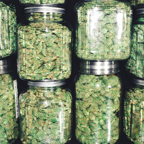CannabisIMP's tweet photo. What ending the federal marijuana prohibition could mean for the industry

Read more here: https://t.co/hHN9mqGvqH https://t.co/O8NjT33KWF