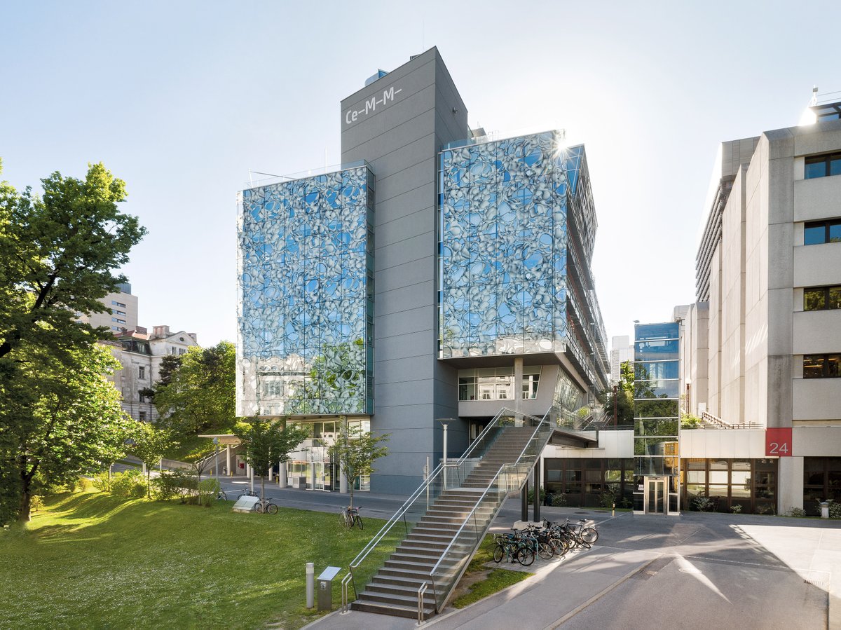 #Apply now for Head of #HR at CeMM! 
With your expertise, you can make a significant contribution to the success of our research institute. Find, promote and accompany exceptional talents and contribute to a future-oriented #HumanResources strategy!
➡️ cemm.jobbase.io/job/nqpkxznx