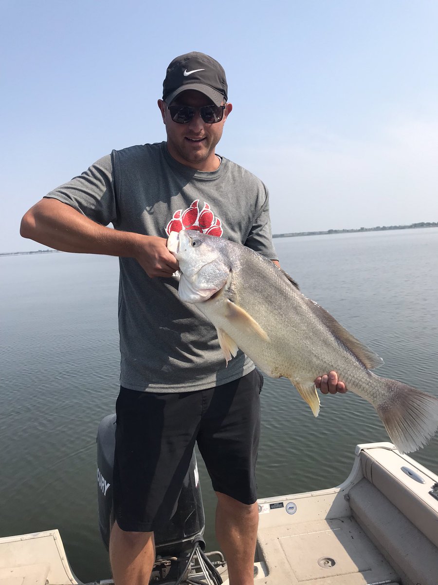 highfishing's tweet image. And even bigger #drum