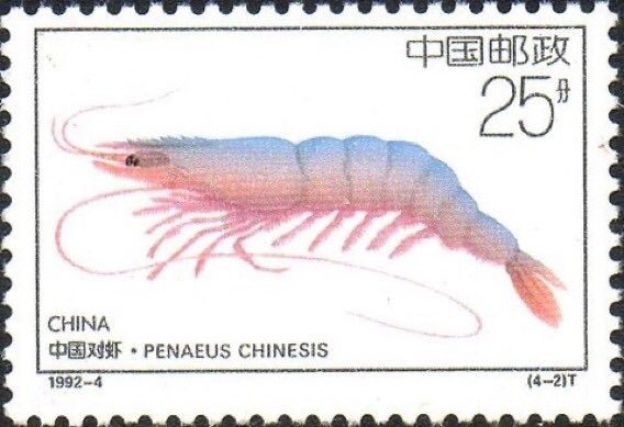 xe0_xeo's tweet photo. Chinese postage stamps depicting various animals 动物 https://t.co/tjkVFvVBFy