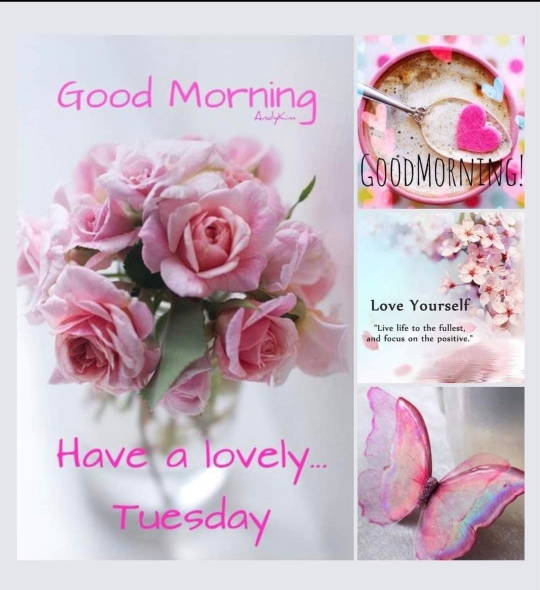 CSprite3's tweet image. Good morning everyone☀️ When life gives you a lemon, then you make a lemonade. Seeing the positive in every situation can help us have a better day. Our days are not always good but we can try to not let a bad thing  affect us all day. Have a wonderful day😊🌺☀️❤