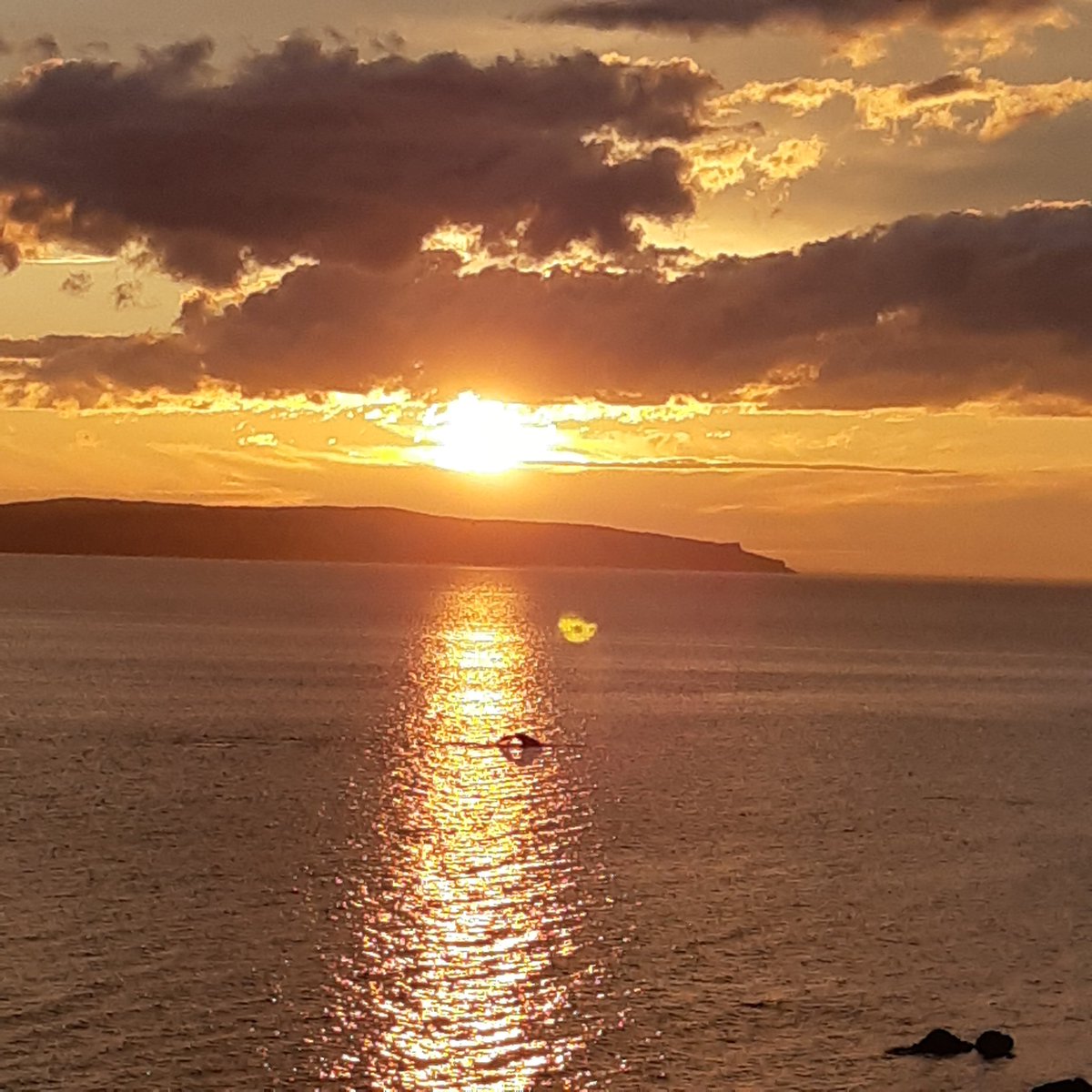 Heather Hanlon tweet media