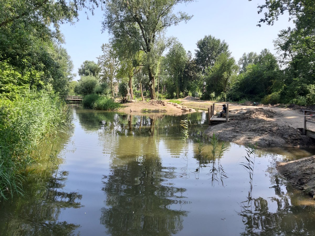 Het Bad Vilbelpark is weer open! Er is de afgelopen tijd hard gewerkt. In september wordt nog de laatste hand aan het park gelegd. Maar je kunt er nu al gaan genieten van de veranderingen. Het speeleiland is ook klaar voor gebruik! Meer weten? huizen.nl/badvilbelpark