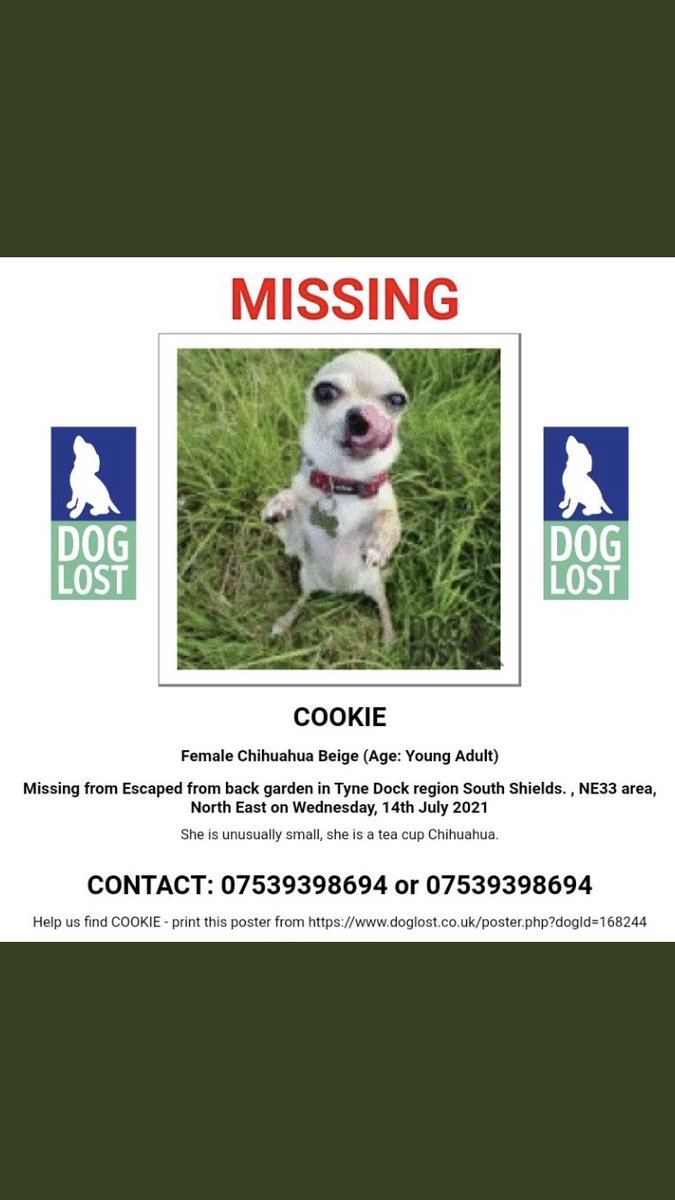 RachaelB100's tweet photo. ! Offered a #TeacupChihuahua for Sale
! Seen her in your Area?
! Found her & kept her?#TheftByFinding
! Took her? #PetTheft
#Spayed #Chipped #Missing #SouthShields #NE33
! COULD BE ANYWHERE
#findCookie
https://t.co/zBD6VB2qLn
https://t.co/GwhJe8RGpK https://t.co/rNtYW1Vvwr