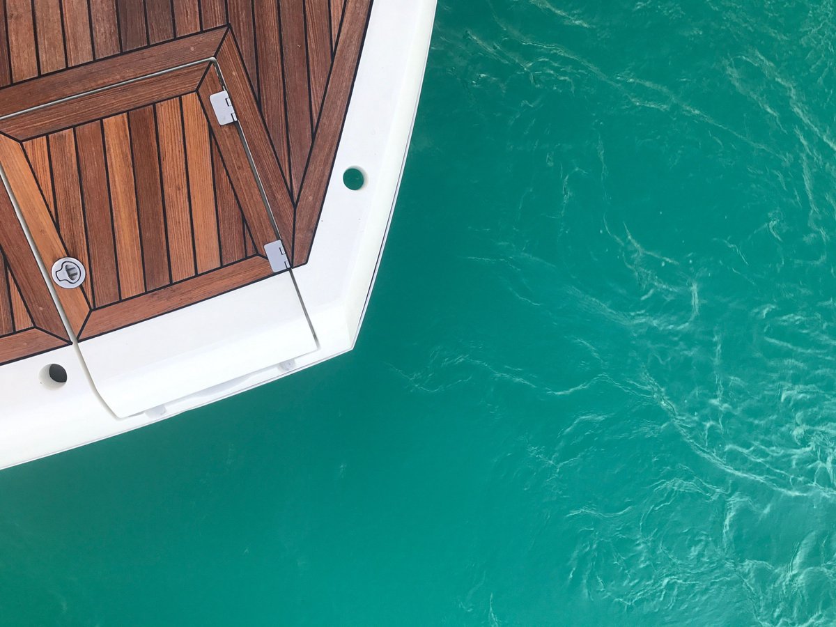 KellyBoat tweet media
