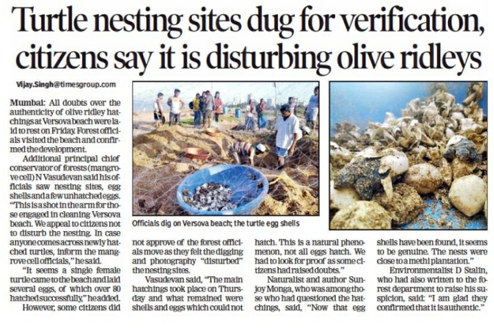VanchitMacchim1's tweet photo. Turtle nesting sites dug for verification, citizens say it is disturbing olive ridleys
Versova Beach is a protected Turtle Nesting site where no such work is permitted.
Pls, Stop @AUThackeray https://t.co/BUgf9KG4xt