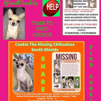 rosiedoc666's tweet photo. #NewProfilePic
COULD YOU ALL PLEASE TRY TO HELP ME HOME - I’m a weeny teeny #teacupchihuahua a beige colour
I’m really trying to get back to my family in #TyneDock #SouthShields since 14/7/21 over TWO WEEKS NOW
It’s my twitterstorm tonight #findCookie THATS ME
Chipped&spayed https://t.co/7xRm7qrgij