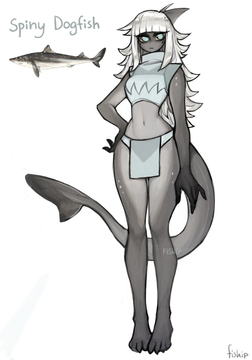 Fiship on X: I'm still having issues with my hands and I'm unable to work,  so I'll be selling some old characters as adopts! Here's the first one:  Spiny Dogfish 🦈 Bid