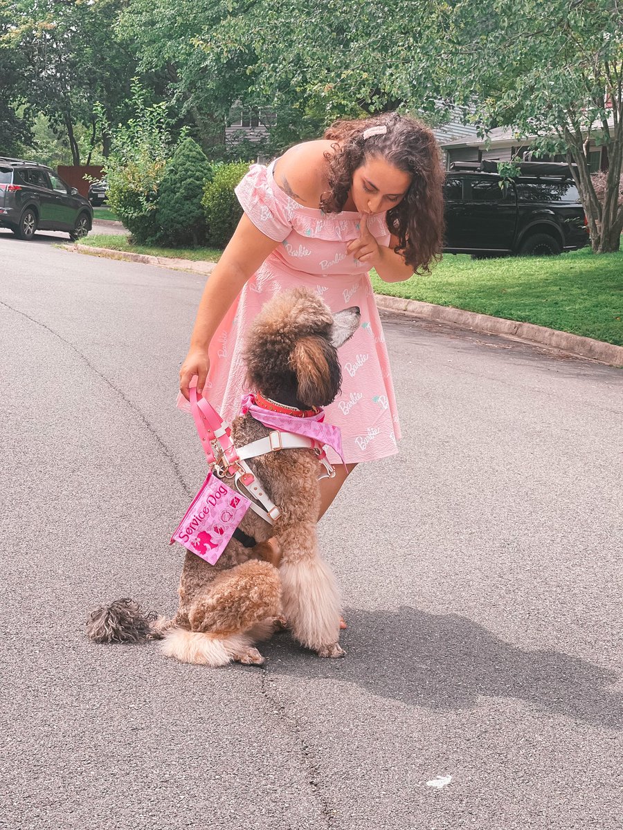 simplybe_'s tweet photo. @Barbie we love how inclusive you guys are! We would love to one day see Barbie with a service dog to expand your disability line. Service dogs are such essential medical equipment to so many in the disabled community 💗 https://t.co/Dc6AjowSRH