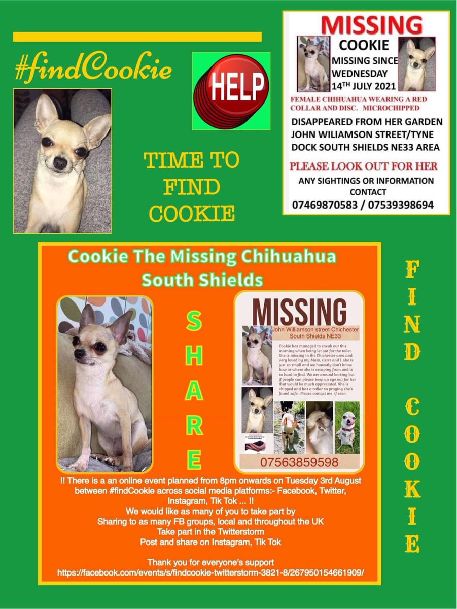 rosiedoc666's tweet photo. #findCookie
Missing #TyneDock #SouthShields
Female/young adult #TEACUP #Chihuahua she was tagged and is chipped&spayed 14/7/21 OVER TWO WEEKS MISSING- her family are devastated
Where are you COOKIE?
https://t.co/jUBEIgqu24
@blacklab115 @gelert01 @MissingPetsGB @bs2510 https://t.co/CM0jHEZ95B