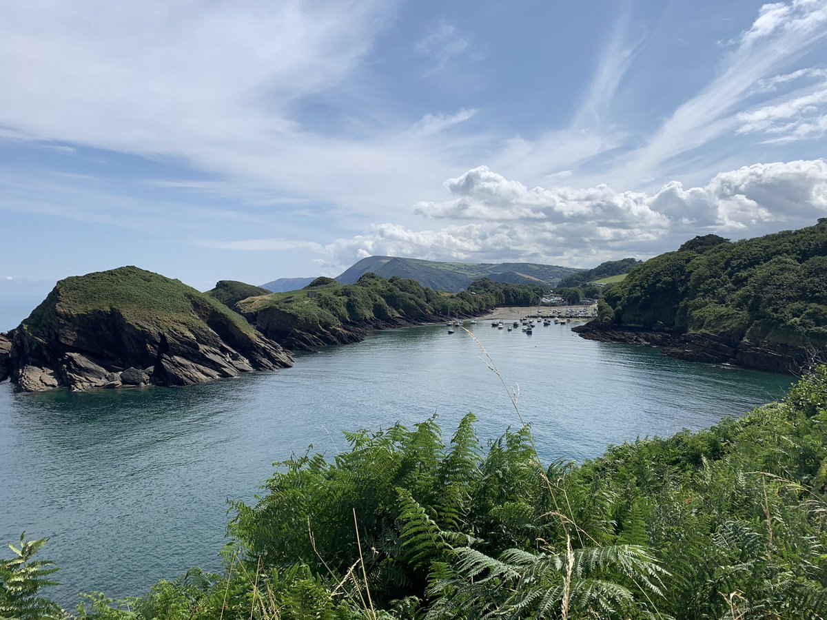 Kate Sendall 💙 tweet media