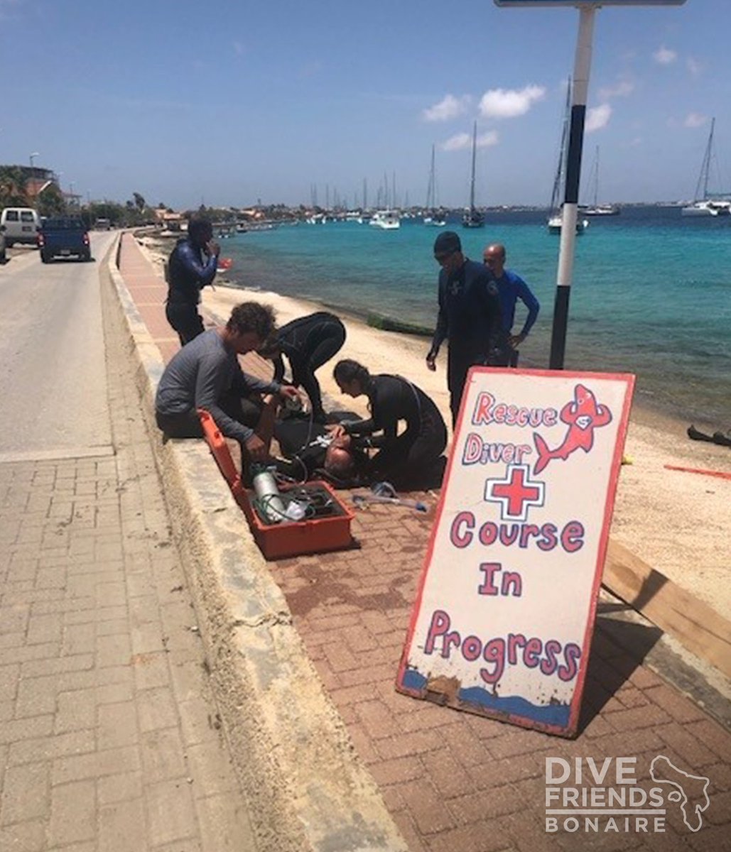 Dive Friends Bonaire tweet media