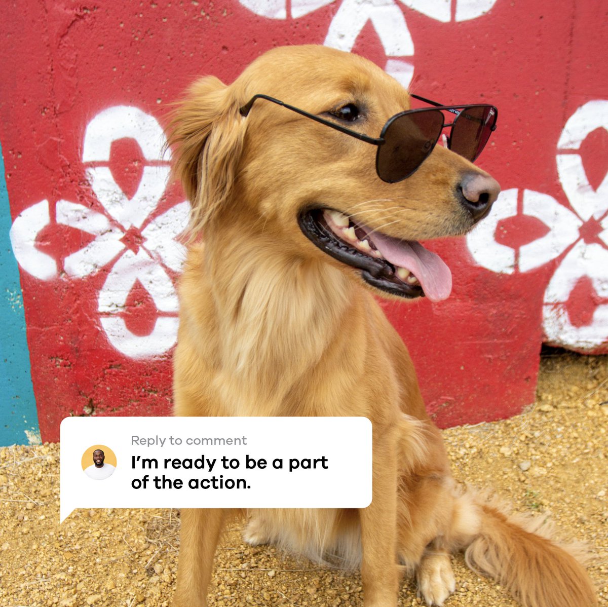 theitcrowdmktng's tweet image. Grab your shades, it&apos;s time to get in on all the action😎

The it Crowd is hiring! We&apos;re looking to grow our graphic design, social media, and business development roles. Ready for a marketing job in the fast lane? Let&apos;s get started! Apply below⚡️

theitcrowd.com/careers/