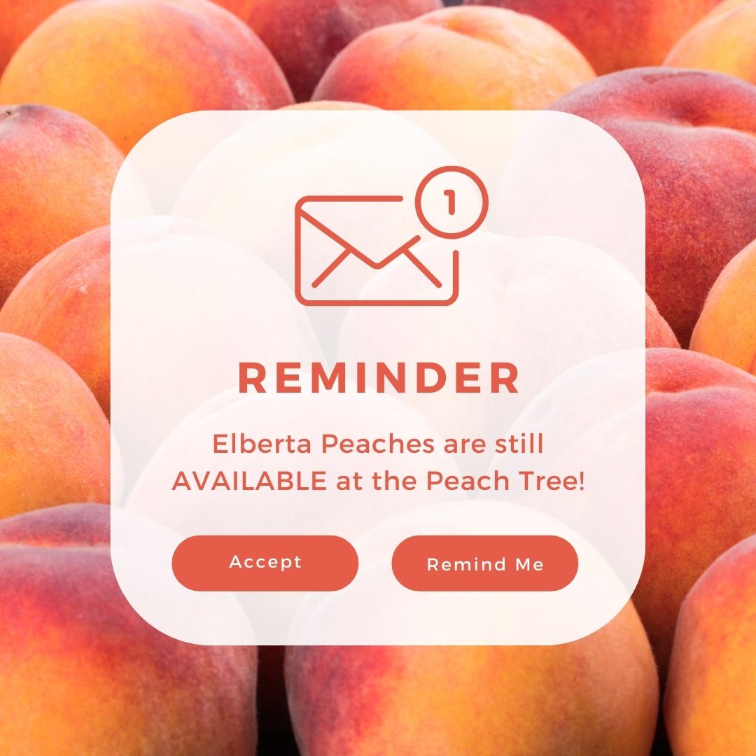 Don't forget we still have Elberta's at the Peach Tree Fruit stand! 
Open Monday thru Saturday 8:30am to 6pm and Sunday from 10am to 4pm!