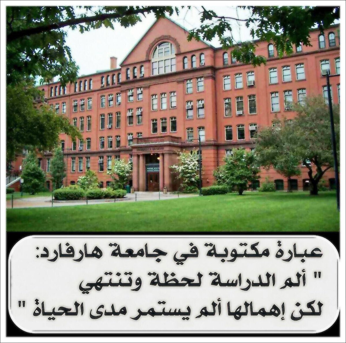 عبارة مكتوبة في جامعة هارفارد تقول"ألم الدراسة لحظة وتنتهي لكن اهمالها ألم يستمر مدى الحياة"وقيل"من لم يذق مر التعلم ساعة تجر ع ذل الجهل طول حياته"
#نتائج_الدبلوم_العام