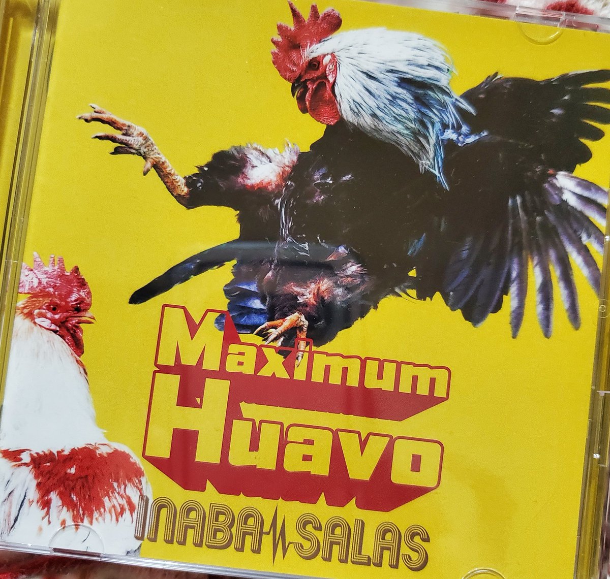 おもち tweet media