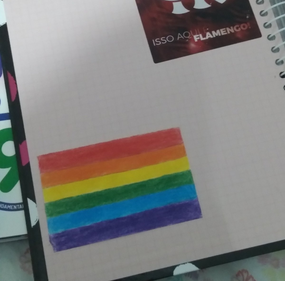 A cada vez que me chamarem de "hetero" na minha escola irei aumentar a minha bandeirinha no meu caderno uhuu ksksskskskskskskkssk jaja eu coloco ela na minha testa aai mdsss que bandeira mai lindaaaaa aaaa 😪