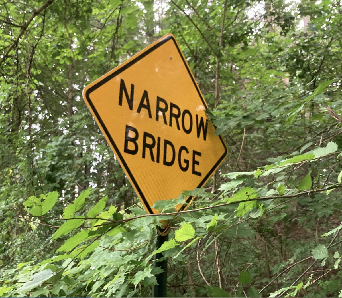 Stewart_Brookes's tweet photo. Good to see that the teachings of Rebbe Nachman (an 18th century Chassidic Rebbe) have made it to @Hillsdaleny: “This whole world, is a very narrow bridge... but the main thing to recall, is have no fear, have no fear at all!" https://t.co/mHxRwC7eMn