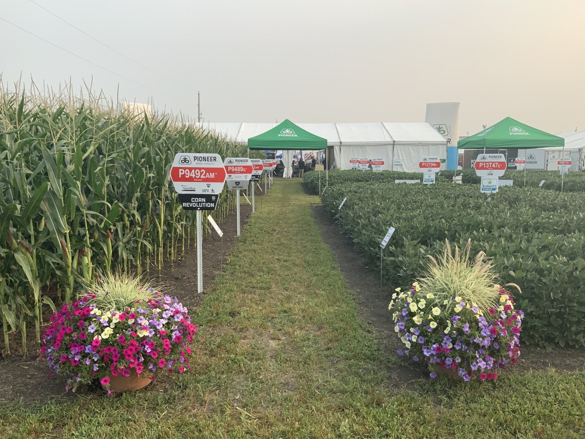 Curt Hoffbeck tweet media