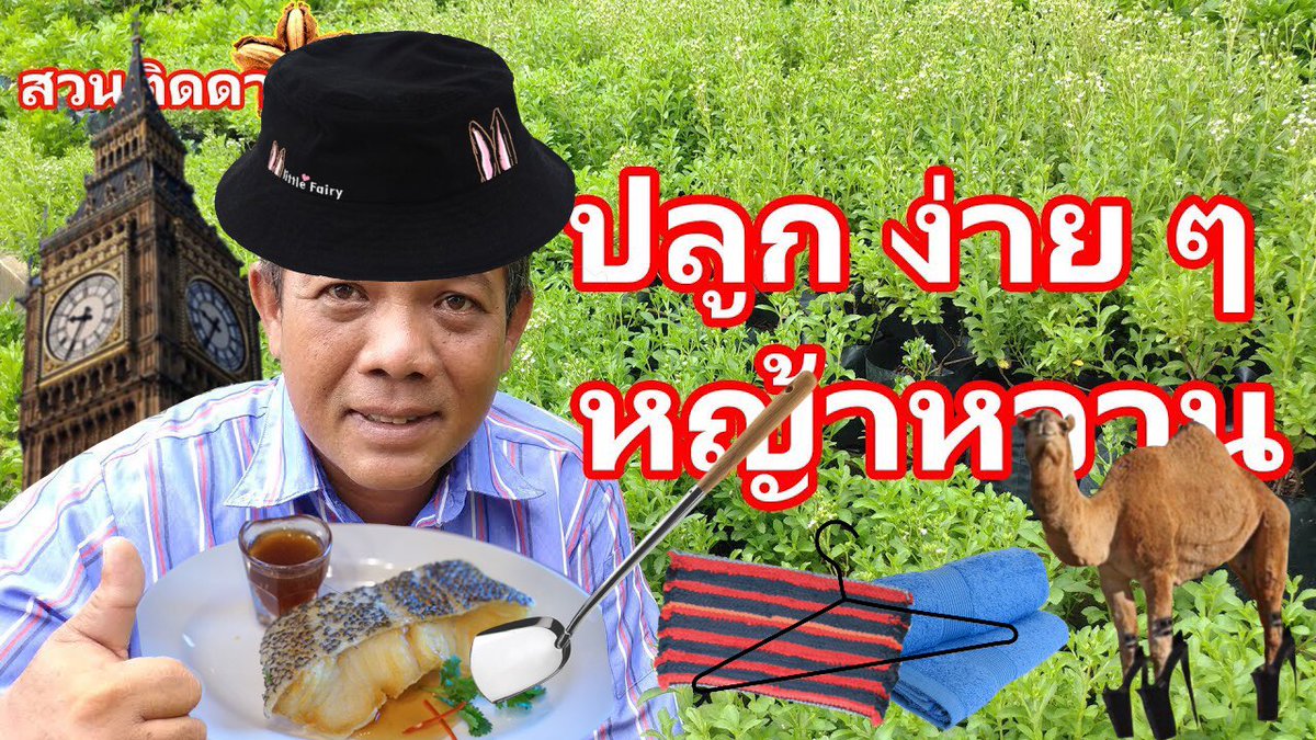 ซกยร tweet media