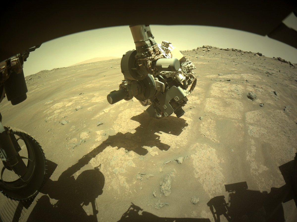 NASAPersevere's tweet photo. When your “office” is as dusty as mine, sometimes you have to roll up your sleeves and clear things away. I’ve just scoured off the weathered crust on this rock to see what lies beneath. Soon I’ll get my first rock core from nearby.

More on sampling: https://t.co/MYw9RoDbGj https://t.co/J2ltSfpleU