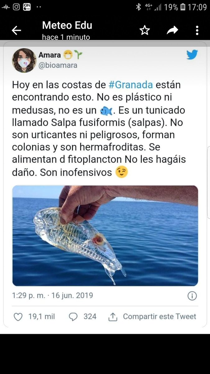 Wito1978's tweet photo. Ahora en #estepona #salpas #auladelmar #malaga @Malagaconacento https://t.co/rBvEEwaBs1