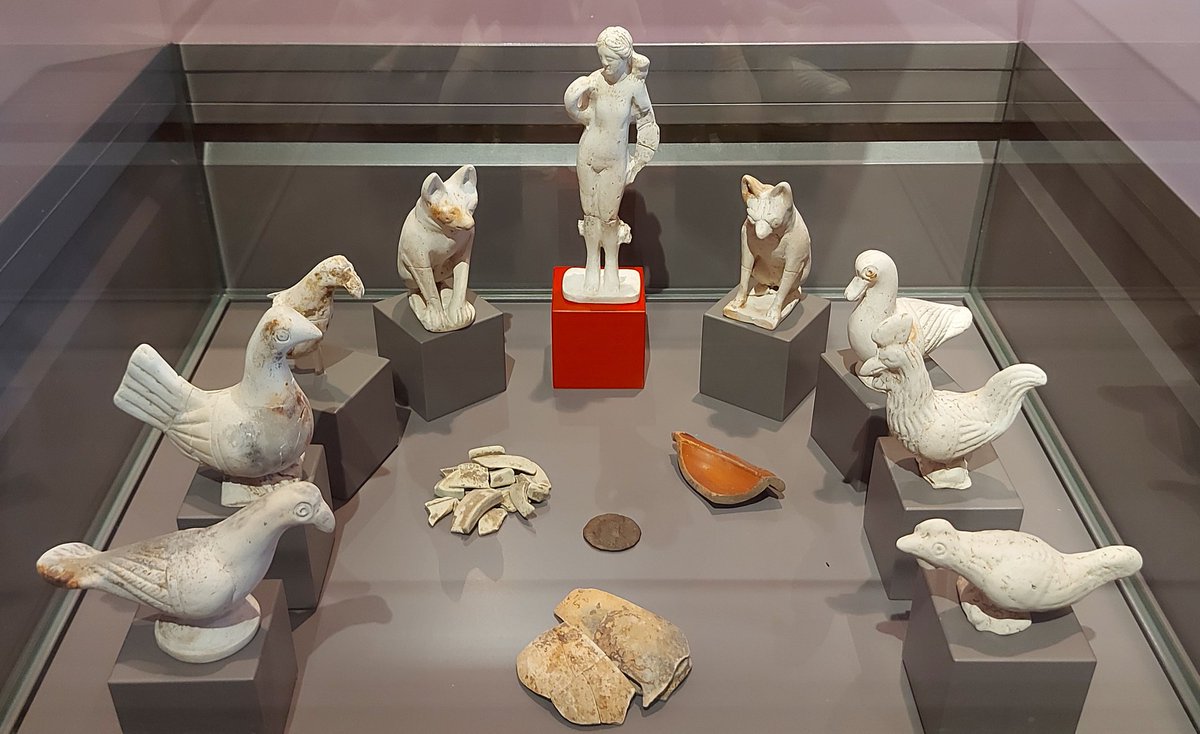 Some 1,900 years ago a child was buried with an array of terracotta figurines in the #Roman town of Arae Flaviae, #Rottweil: 2 pigeons, 2 dogs, 2 roosters, a chicken, a duck, and a female figure, commonly identified as Iuventas, the personification of youth.1/2

#RomanArchaeology