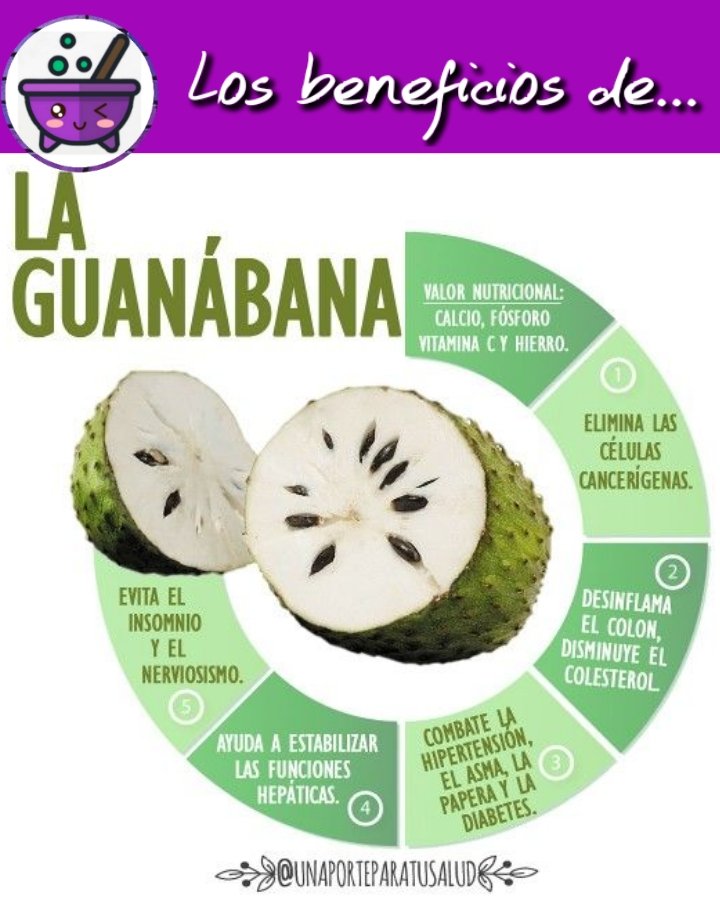 La guanábana o graviola