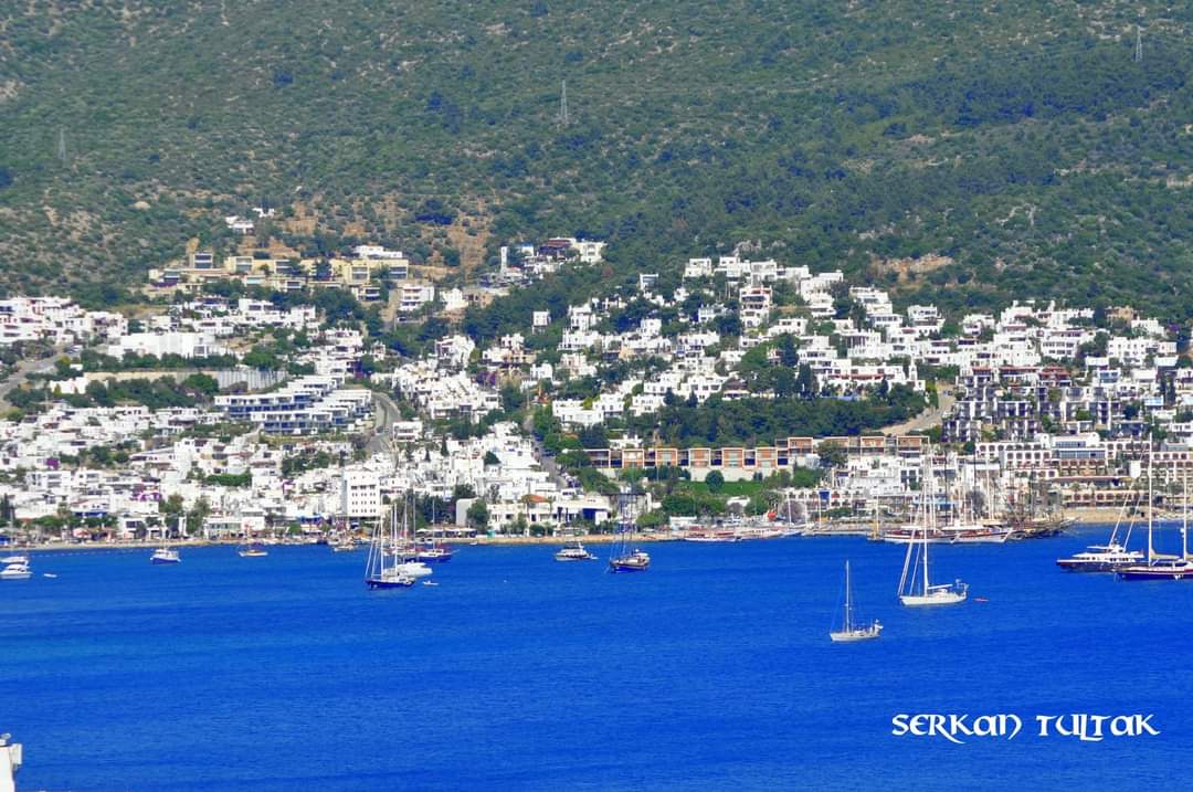 serkantultak's tweet photo. Bir Zamanlar #Bodrum... Fotoğraf 📷 Serkan Tultak #nikond7200 #nikon_turkiye #nikonturkiye #nikond7200photography #lestguide #worldtourists #places #kadrajturkiye #fotoğraf #Ormanyangını #Orman https://t.co/h1PjopKYYK