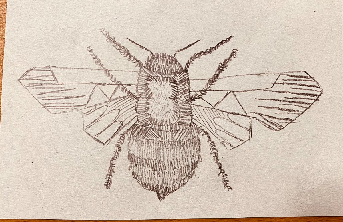 InkyCuttlefishStudio tweet media