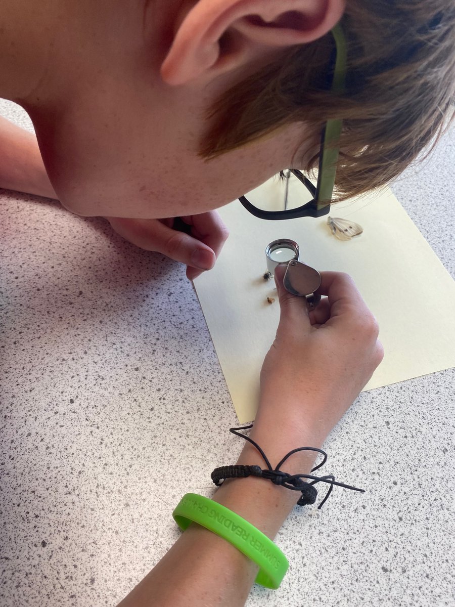 Today we explored pollinators and made prints.

Commissioned by <a href="/wfcouncil/">Waltham Forest Council</a> <a href="/Mbilla_Arts/">Mbilla Arts</a> @WFculture19