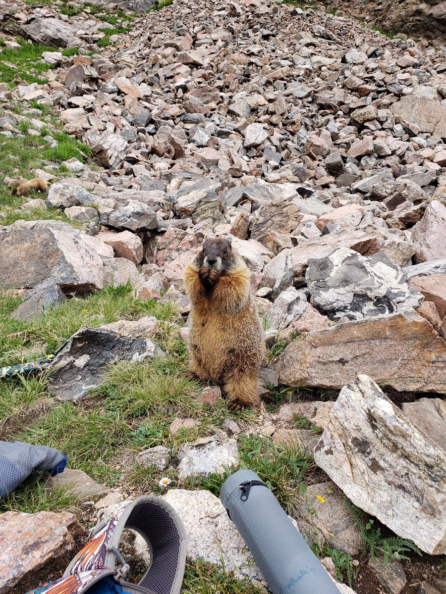 AapaSauce (@aapasauce) on Twitter photo 