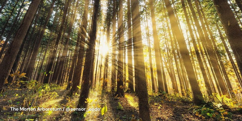 Chicago_Reader's tweet photo. #Ad #Sponsored Enjoy @discoverdupage’s hiking options, hilly terrains, award-winning gardens and comfortable strolls. With stunning spots like @cantignypark, #IllinoisPrairiePath and more, opting outdoors is easy. Discover these Top 10 Trails: https://t.co/SA7eNqlhEP. https://t.co/vD90PQX6w7