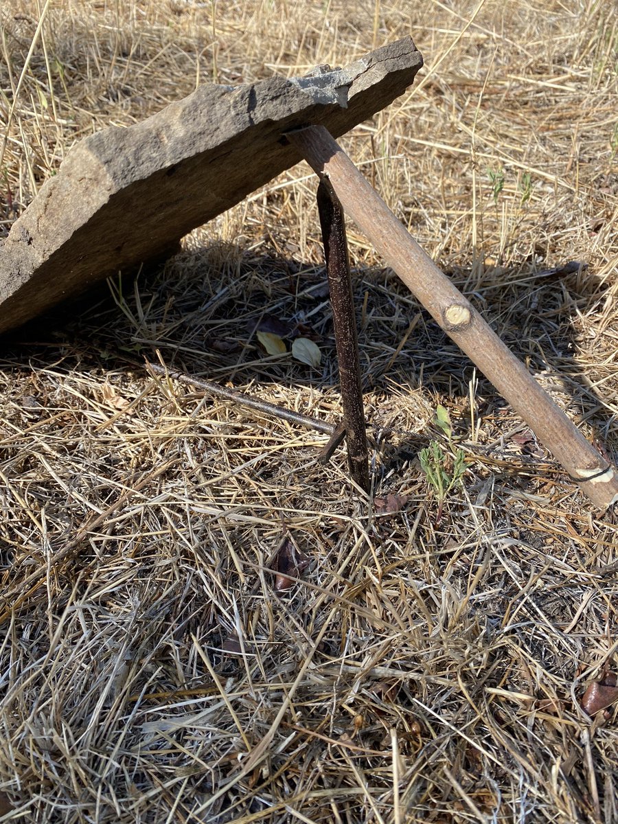 Lt Col Oller tweet media