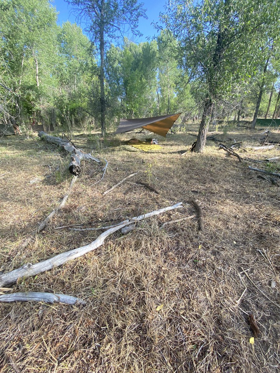 Lt Col Oller tweet media