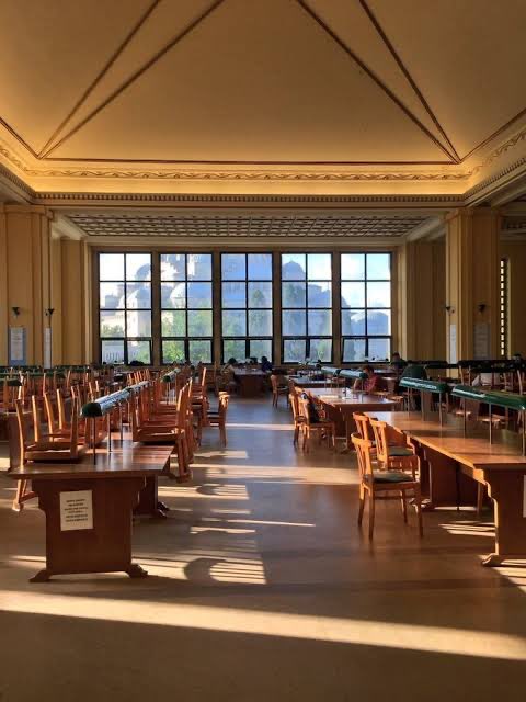 Kütüphanemizde kediler eşliğinde sınavlara hazırlanmak ister misiniz ? ☺️🐈