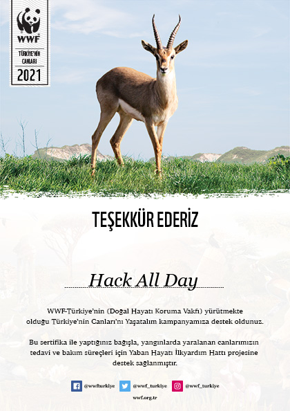 Ülkemizin çeşitli yerlerinde çıkan yangınlara az da olsa bizde su serpmek istedik. Yananların yalnızca ağaçlar olmadığını, çok sayıda hayvanın da bakıma muhtaç olduğunu unutmadık. Ormanlarımızda tahrip olan hayvan dostlarımıza bir elde siz uzatır mısınız? <a href="/BlackboxSecTR/">Blackbox Security</a>